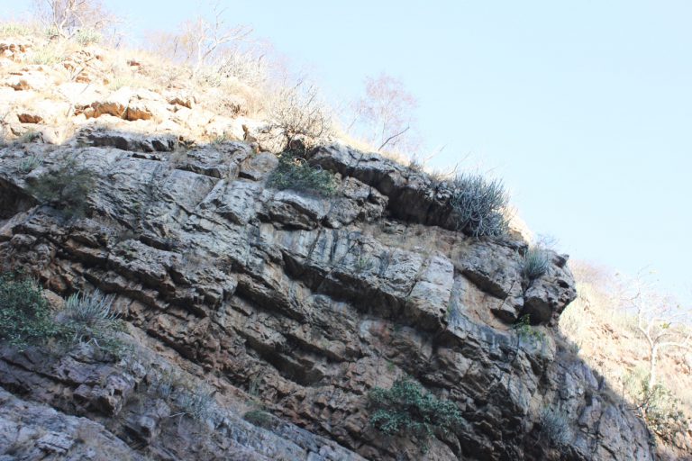 Ranthambore national park