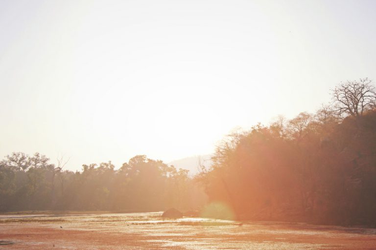 Ranthambore national park