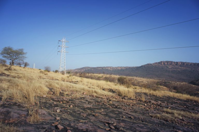 Ranthambore national park