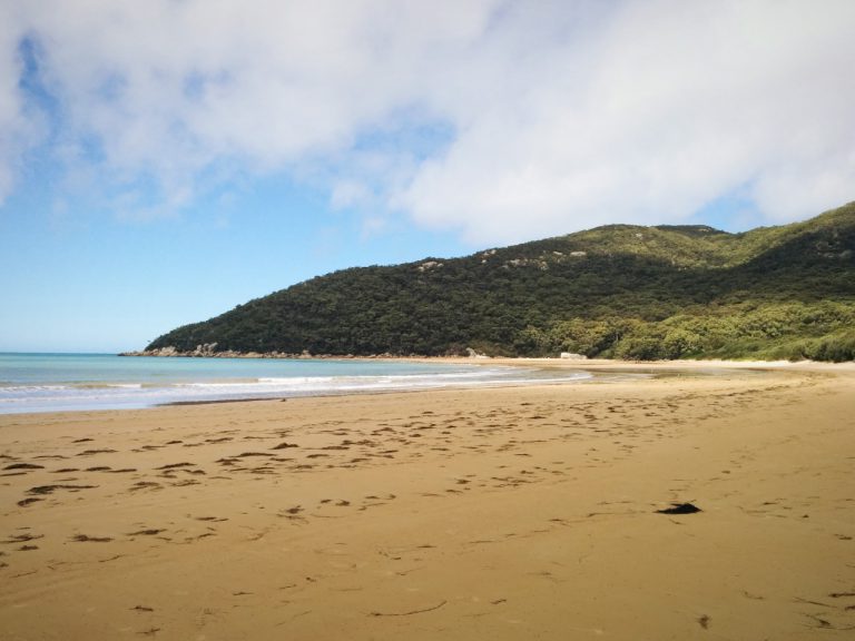 Sealer's cover Wilson's Prom