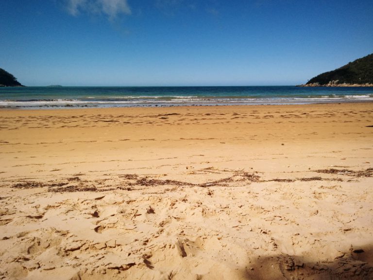 Sealers' cover Wilson's Prom