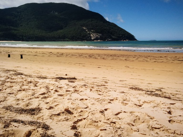 Sealer's cover Wilson's Prom